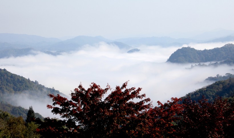 吉林临江溪谷风景图片(21张)