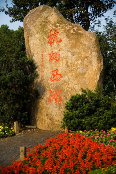 杭州西湖的荷花图片(19张)