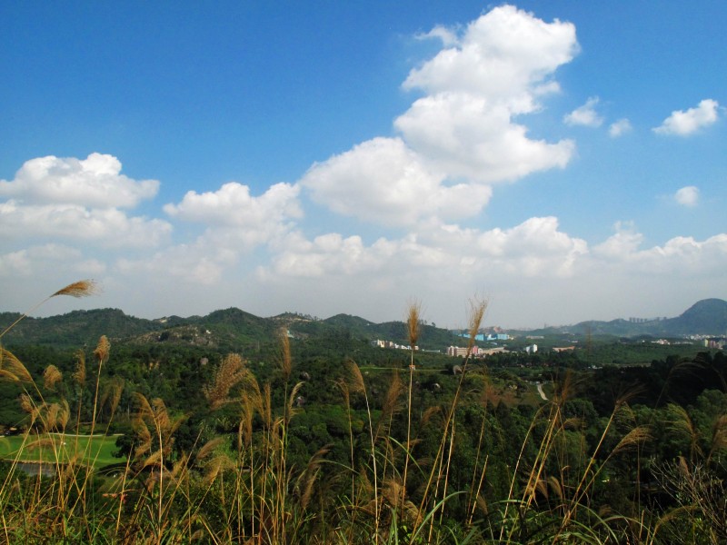 广东深圳西丽球场风景图片(13张)