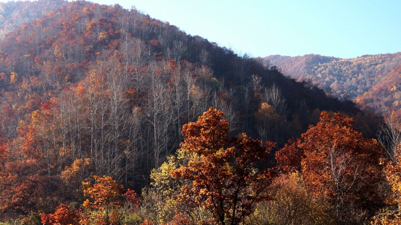 甘肃兰州兴隆山秋季风景图片(17张)