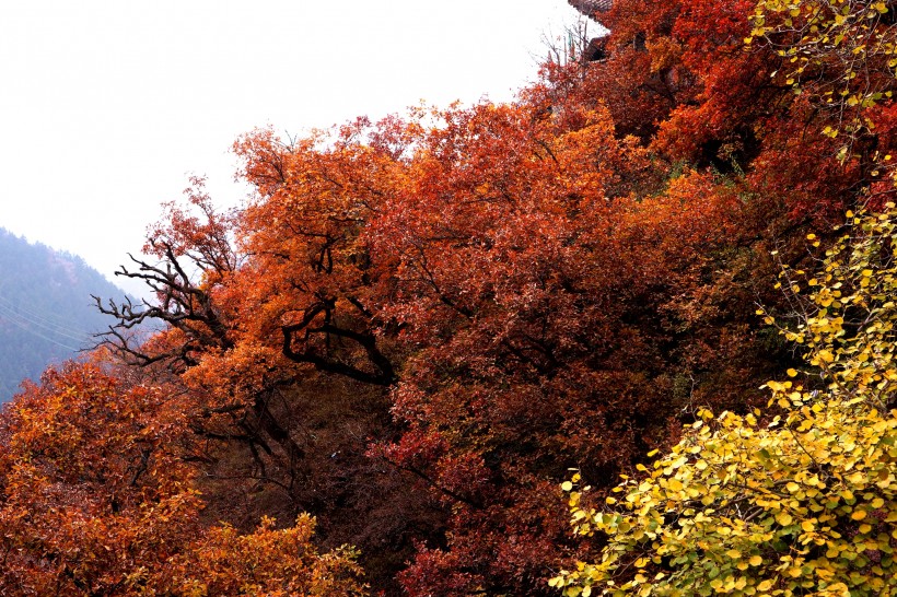 甘肃兰州兴隆山秋季风景图片(17张)