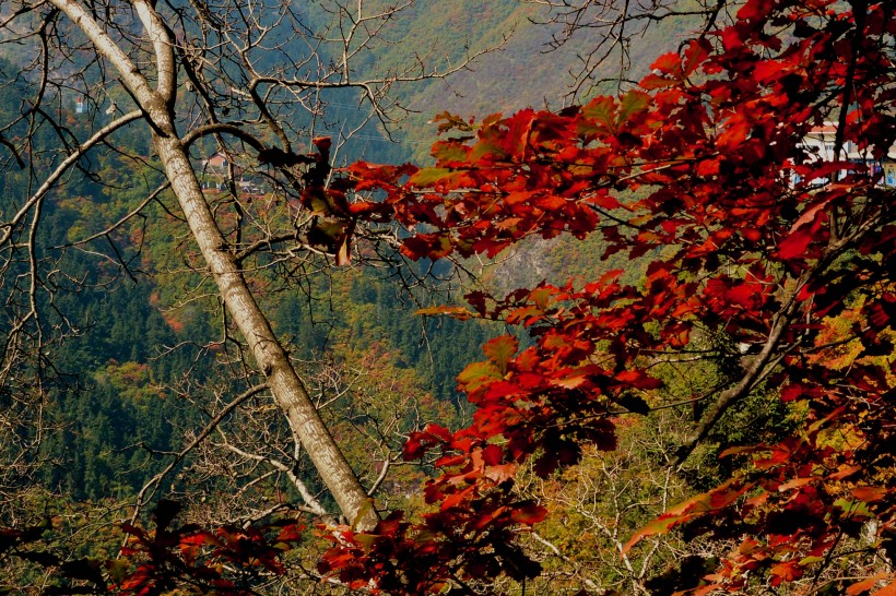 甘肃兰州兴隆山秋季风景图片(17张)