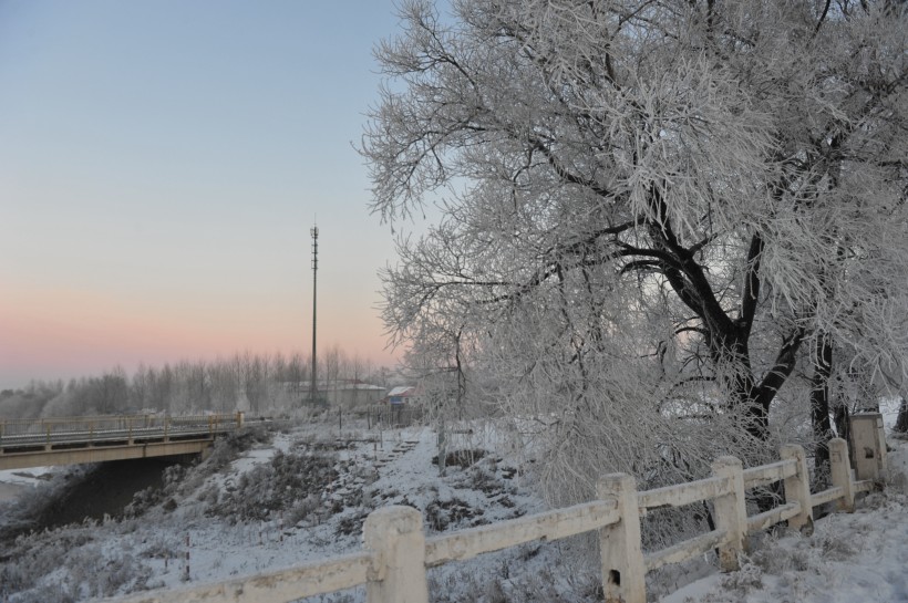 贵州遵义新华桥雪景图片(12张)