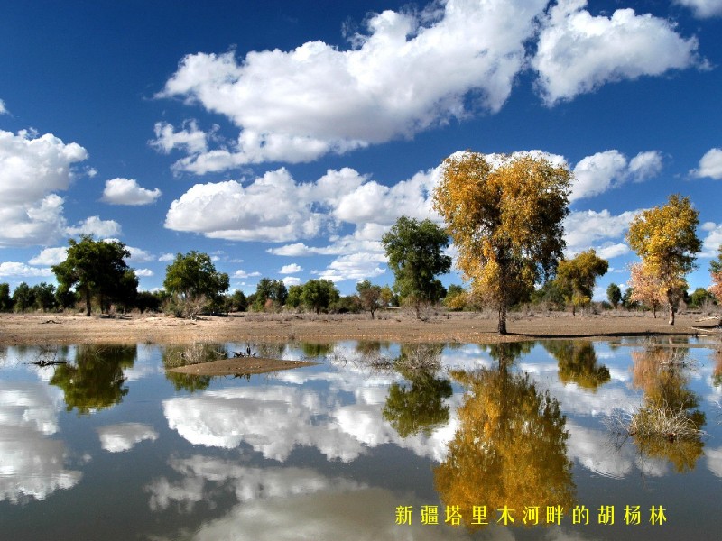 新疆风貌图片(20张)
