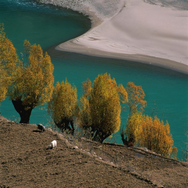 新疆喀纳斯湖图片(7张)