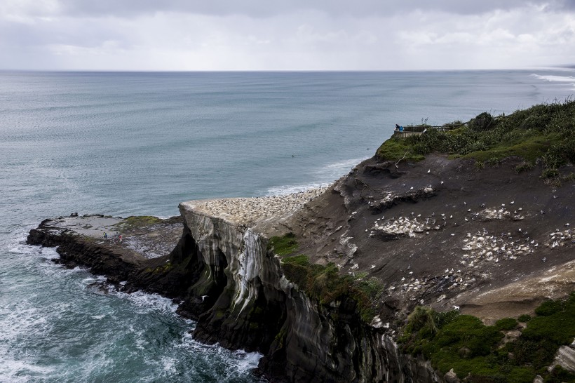 新西兰鸟岛风景图片(9张)