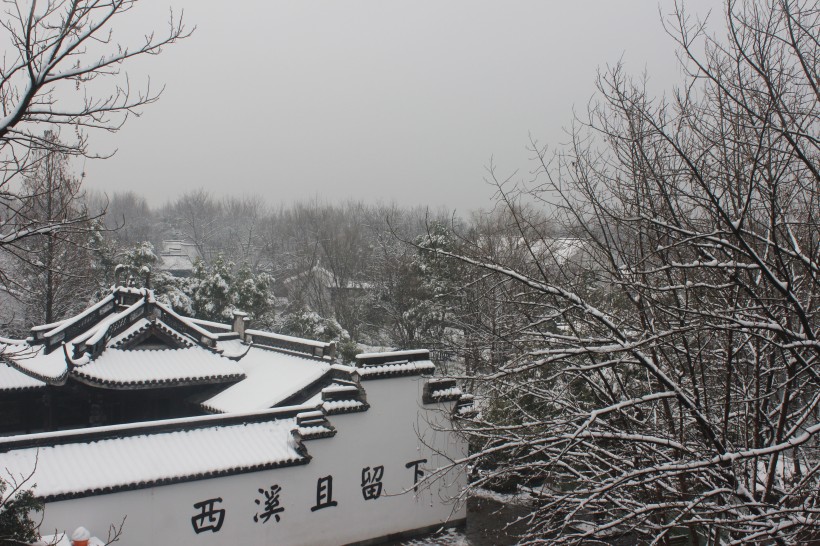 浙江杭州西溪湿地冬季风景图片(11张)