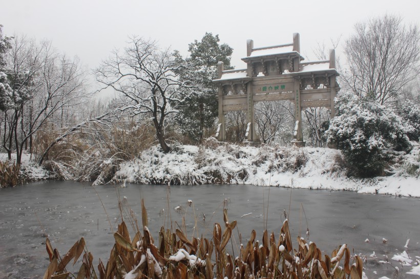 浙江杭州西溪湿地冬季风景图片(11张)