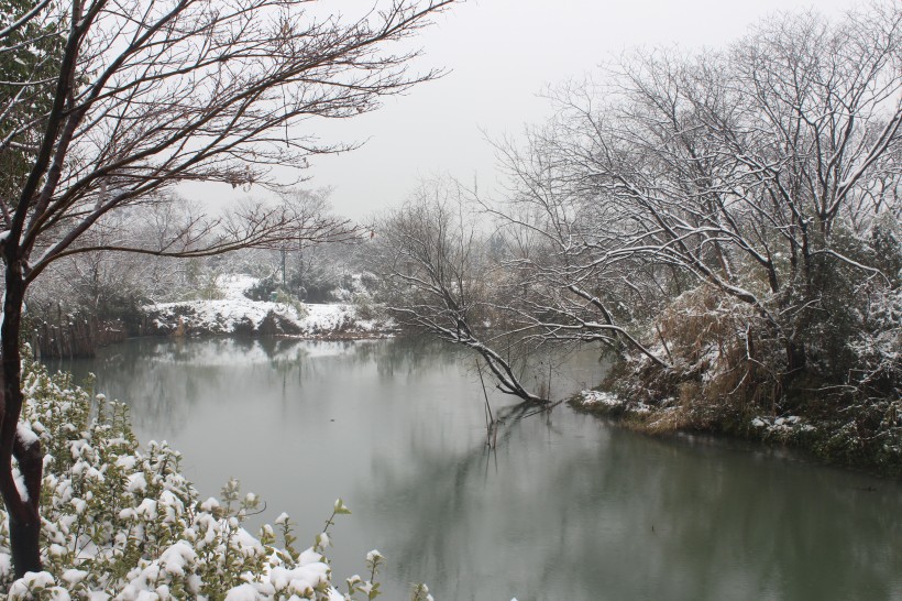 浙江杭州西溪湿地冬季风景图片(11张)