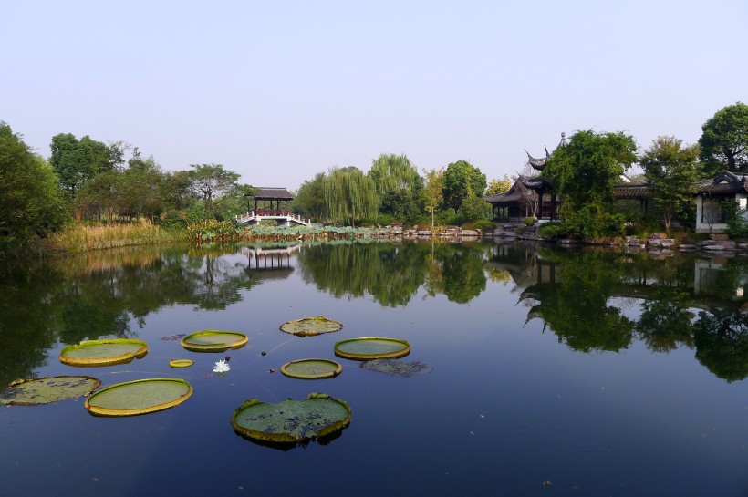 浙江杭州西溪湿地风景图片(18张)