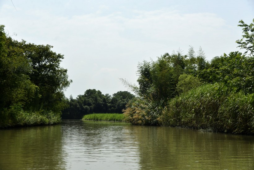 杭州西溪国家湿地公园风景图片(16张)