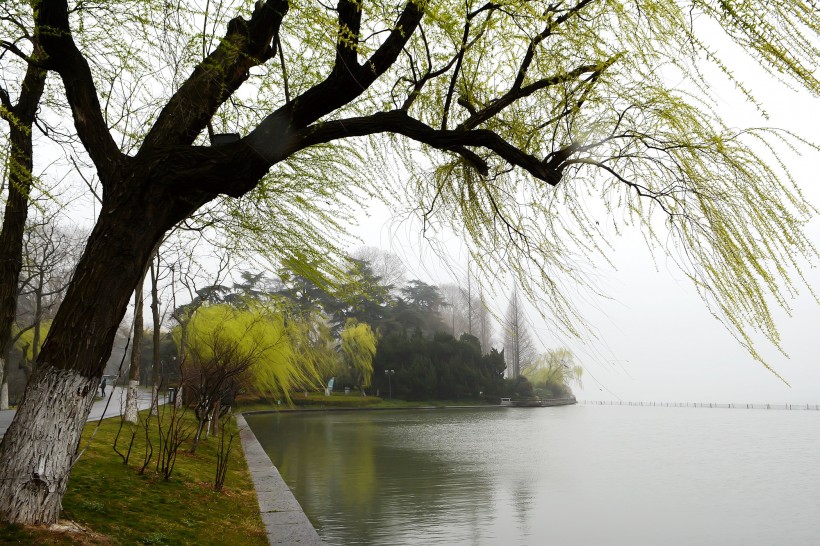 南京玄武湖公园风景图片(14张)