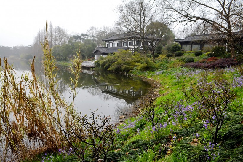 南京玄武湖公园风景图片(14张)