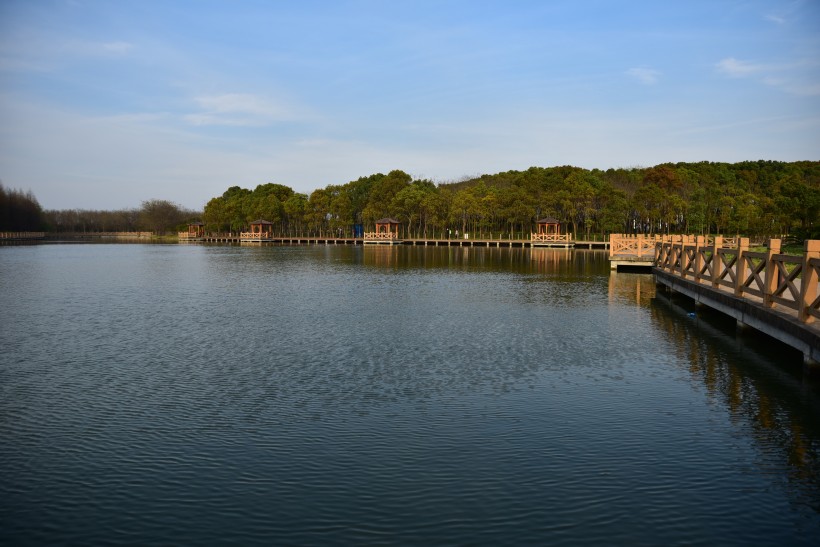 上海松江雪狼湖生态园风景图片(12张)