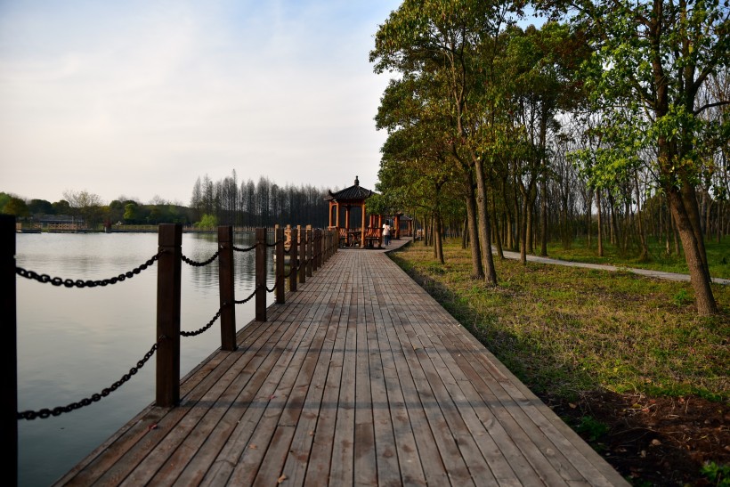 上海松江雪狼湖生态园风景图片(12张)