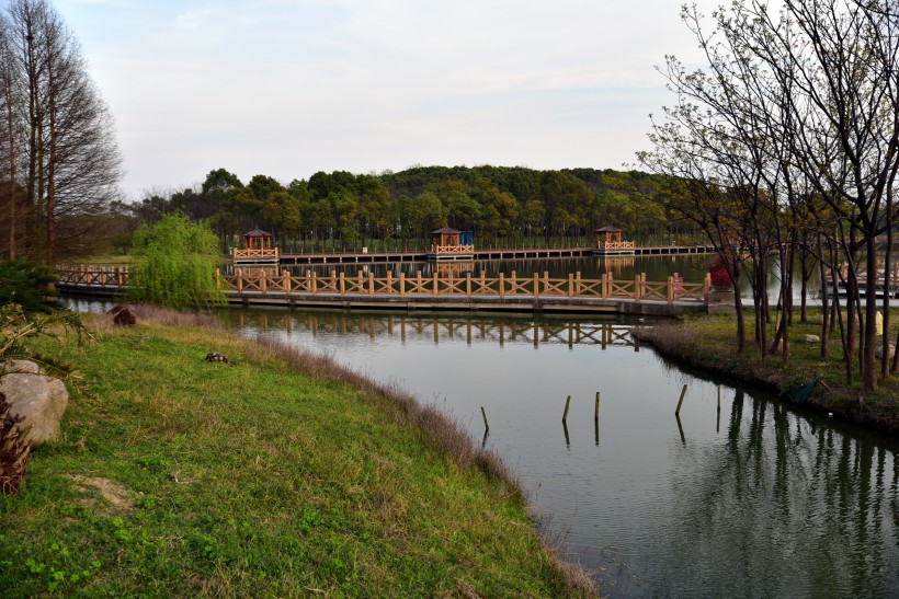 上海松江雪狼湖生态园风景图片(12张)