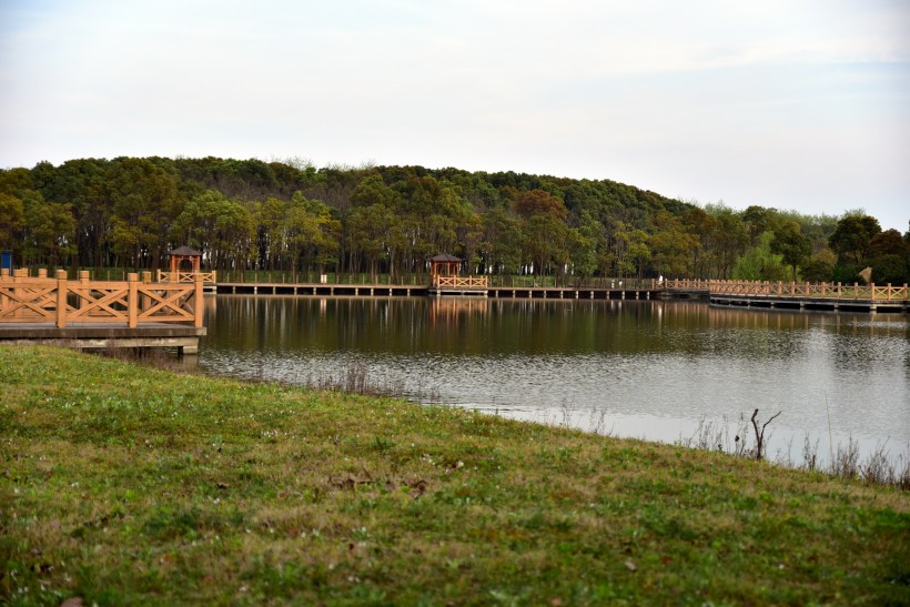 上海松江雪狼湖生态园风景图片(12张)