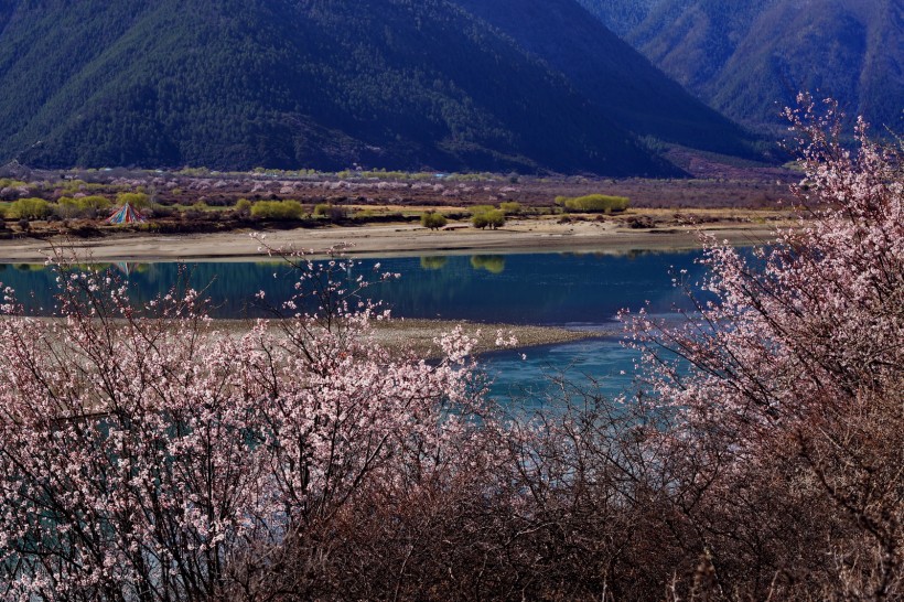 西藏林芝雅江风景图片(9张)