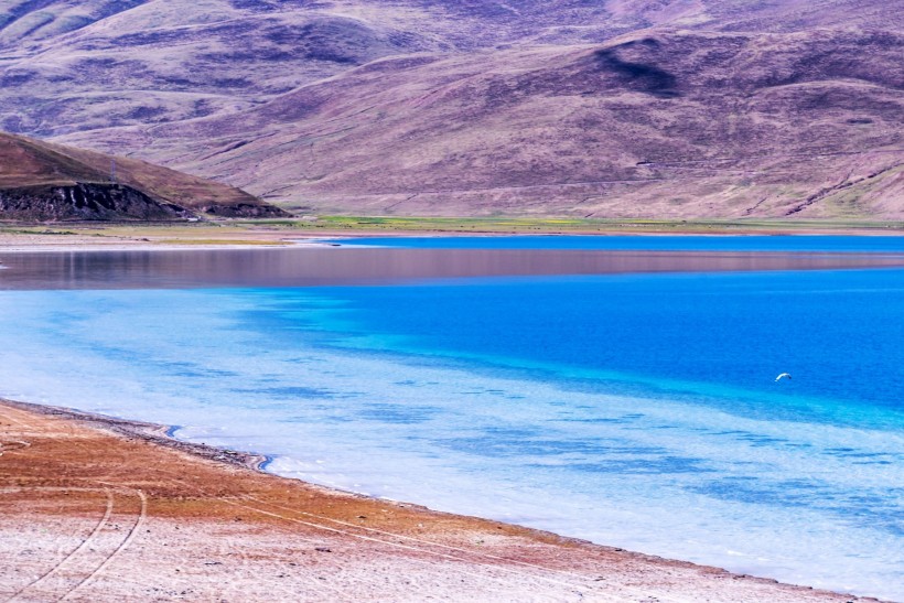 西藏羊湖风景图片(11张)