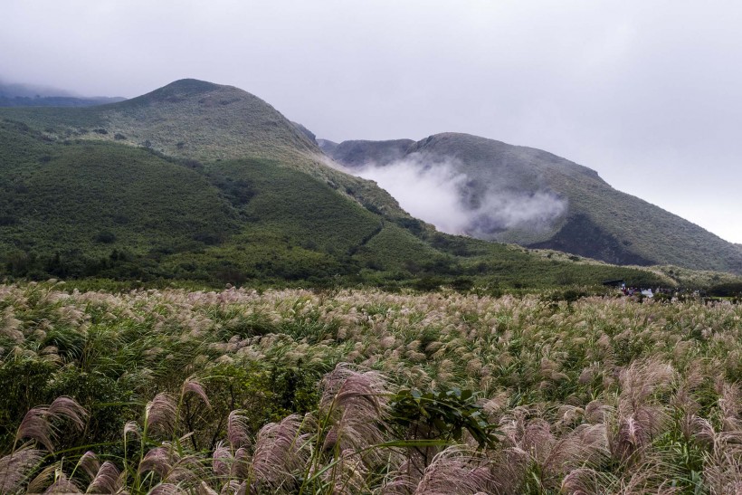 台湾阳明山风景图片(8张)