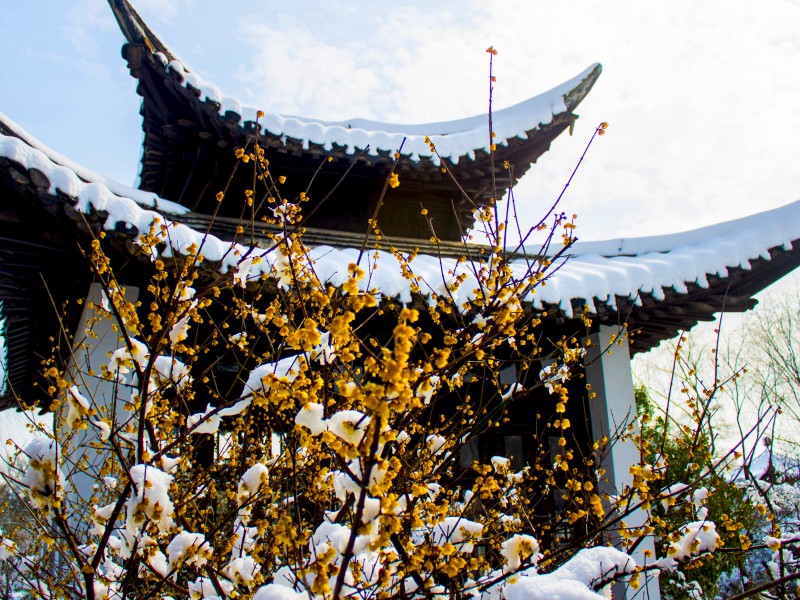 扬州雪景图片(15张)