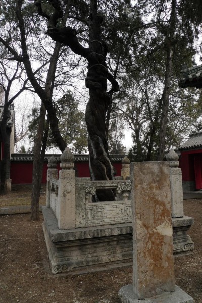 山东曲阜颜庙风景图片(20张)