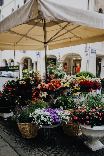 意大利的花店图片(12张)