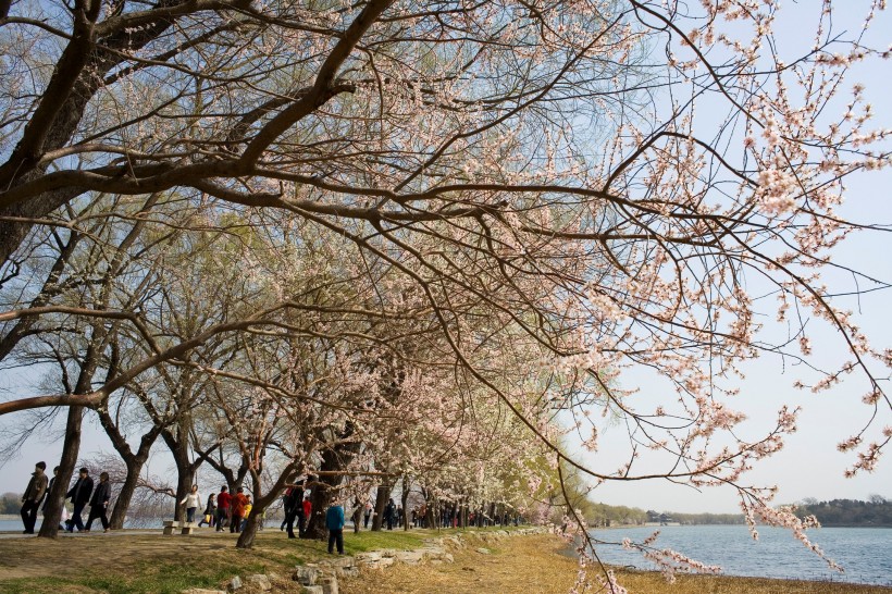 北京颐和园景色大全图片(122张)