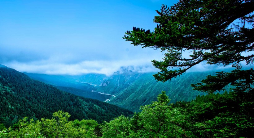 四川黄龙迎宾池风景图片(9张)