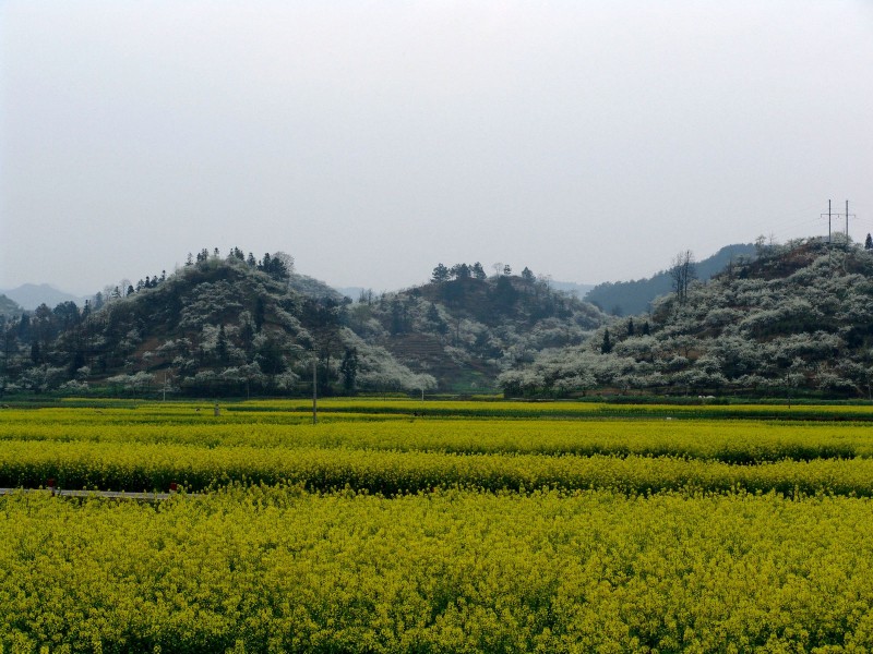 贵州音寨风景图片(10张)
