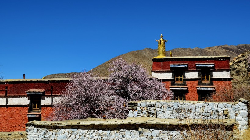 西藏雍仲林寺风景图片(10张)