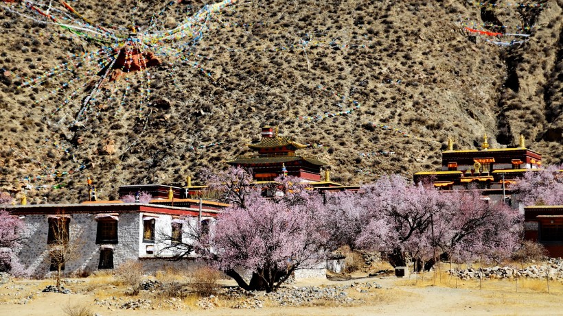 西藏雍仲林寺风景图片(10张)