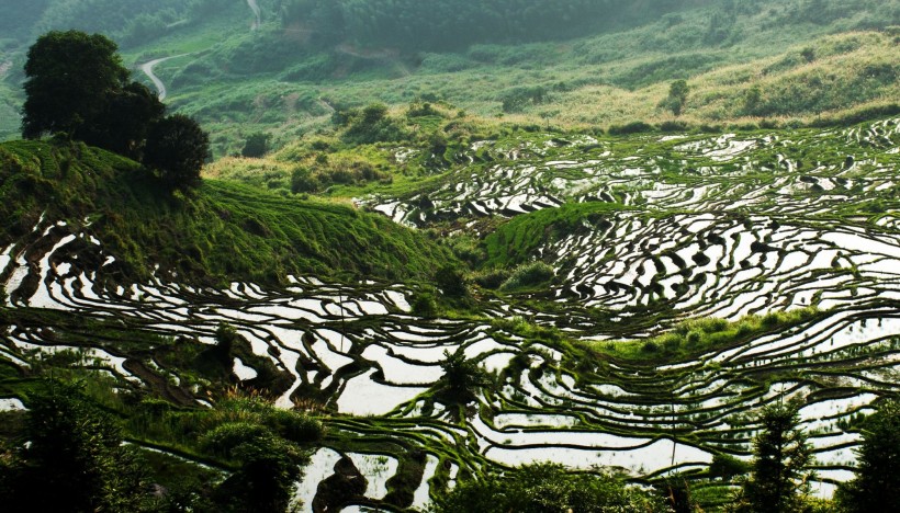 福建尤溪联合梯田风景图片(15张)