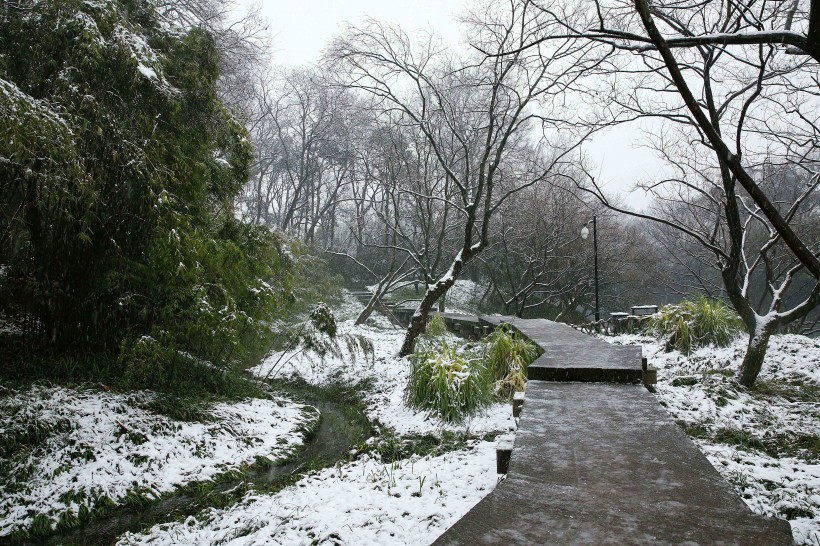 雪中的西湖浴鹄湾风景图片(10张)