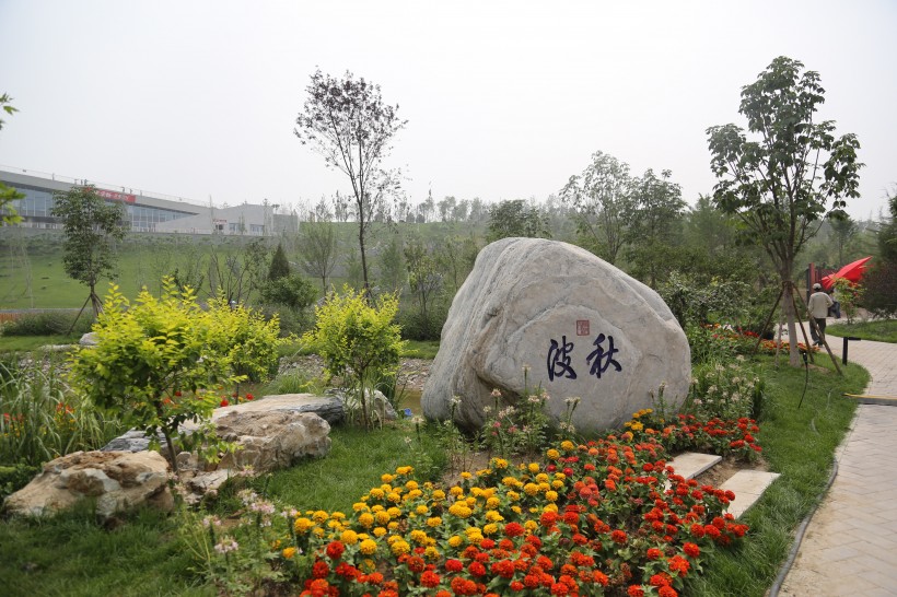 深圳园博园花卉风景图片(17张)