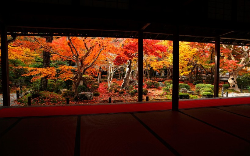 京都圆光寺图片(22张)