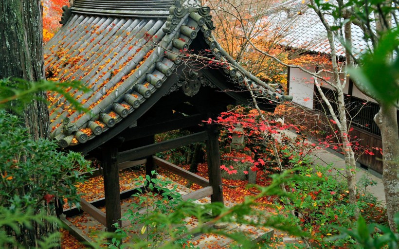 京都圆光寺图片(22张)