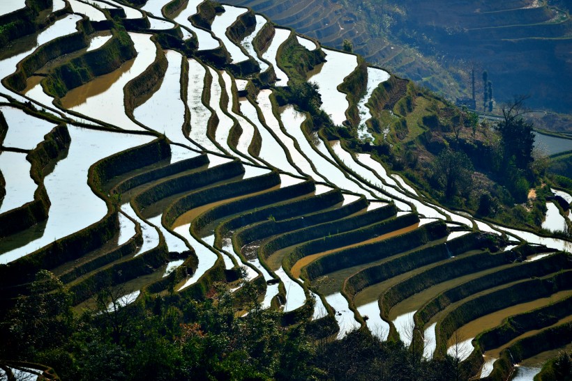 云南元阳梯田风景图片(10张)