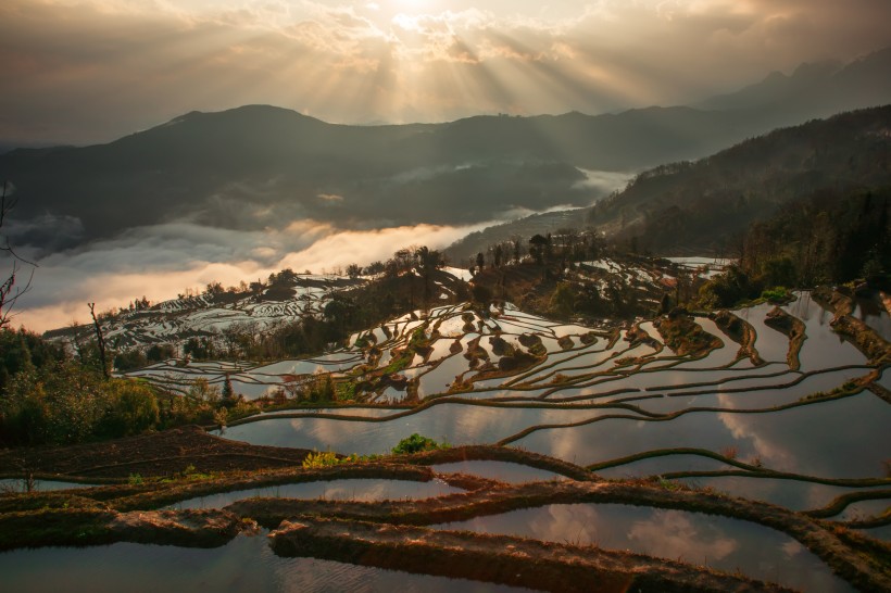 云南元阳梯田风景图片(10张)