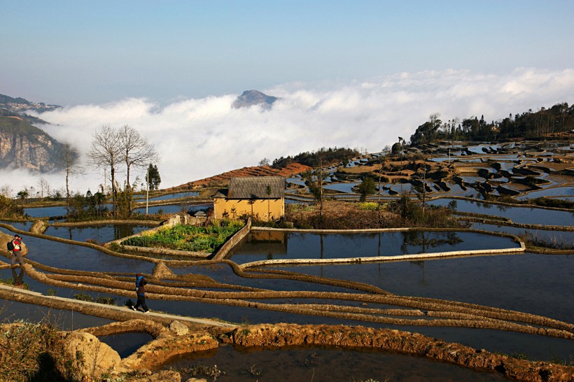 云南元阳梯田风景图片(27张)