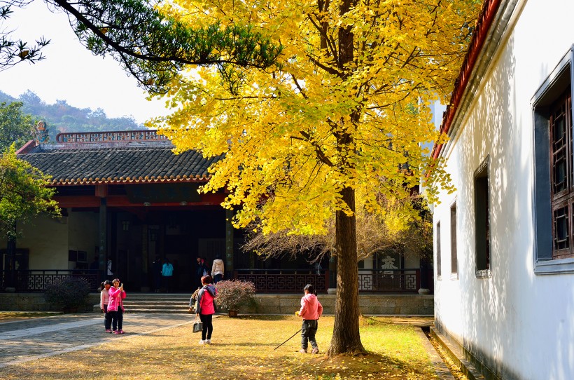 湖南长沙岳麓书院风景图片(10张)