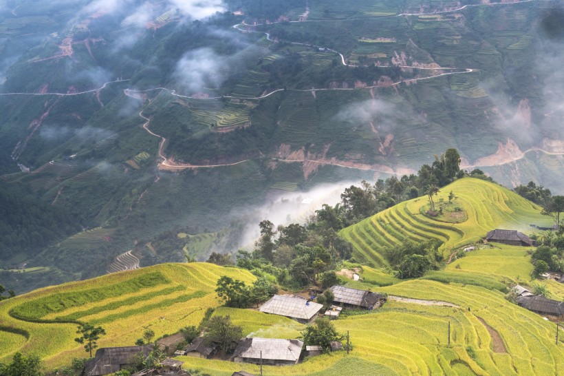 越南稻田风景图片(9张)