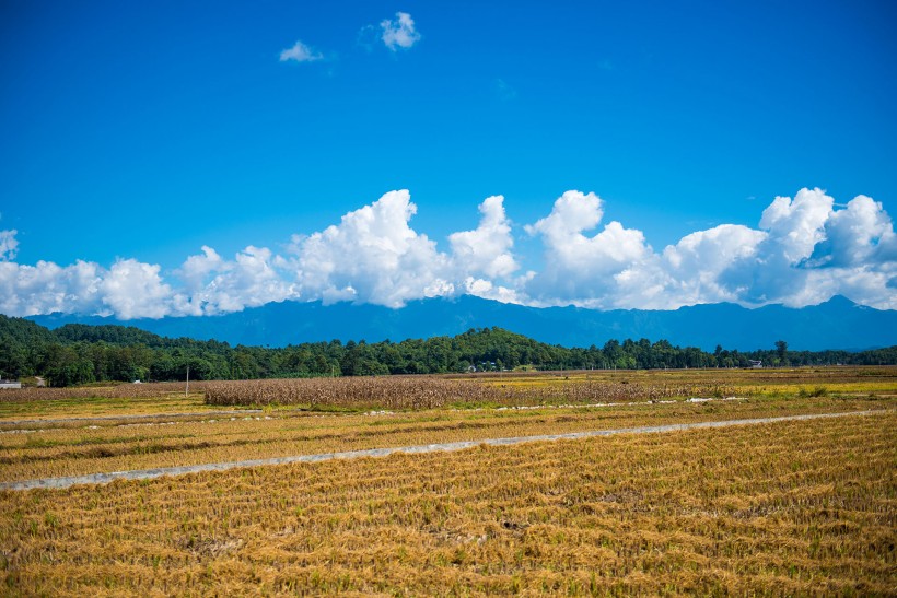 云南云峰山风景图片(17张)