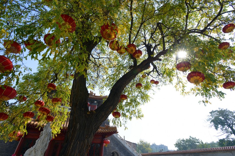 陕西西安云居寺风景图片(19张)