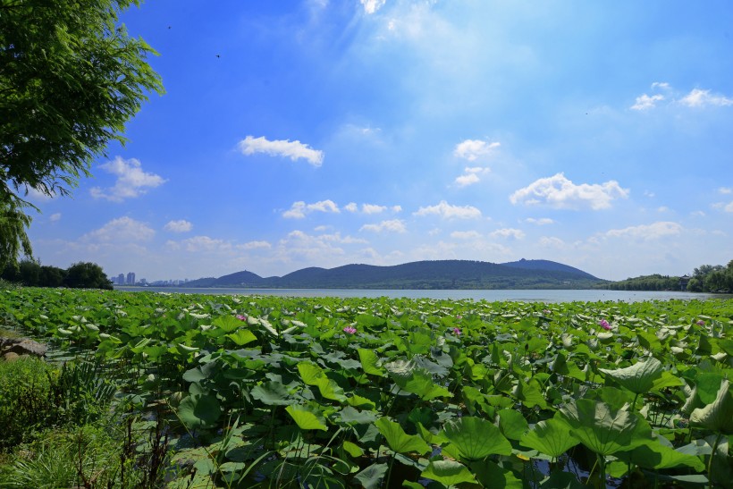 江苏徐州云龙湖风景图片(14张)