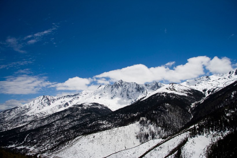 云南白马雪山图片(14张)