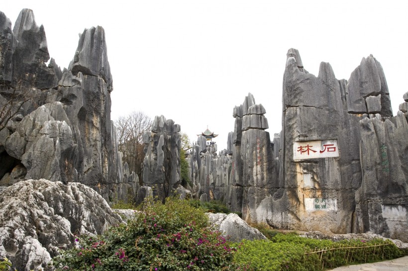 云南石林风景图片(49张)