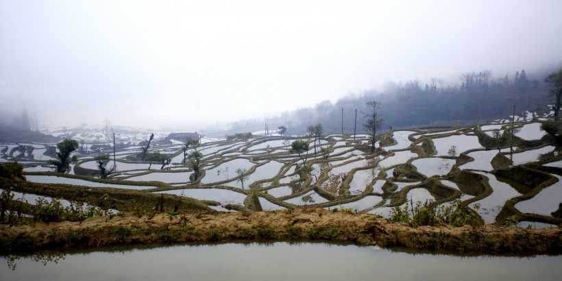 云南元阳梯田风光图片(52张)