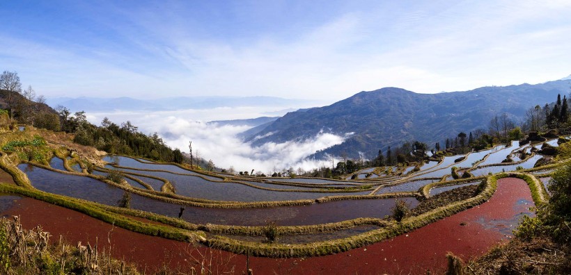 云南元阳梯田风景图片(8张)