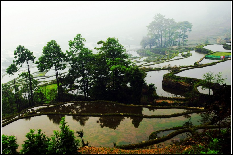 云南元阳梯田风景图片(8张)